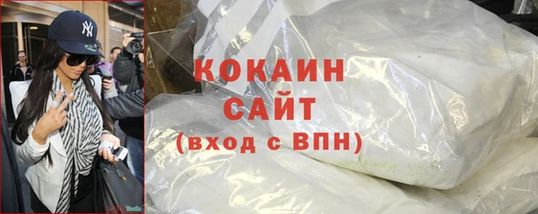 спиды Богородицк