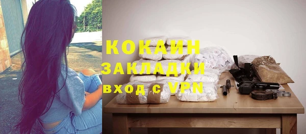 спиды Богородицк