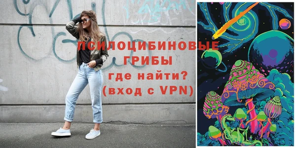 ГАЛЛЮЦИНОГЕННЫЕ ГРИБЫ Богородск