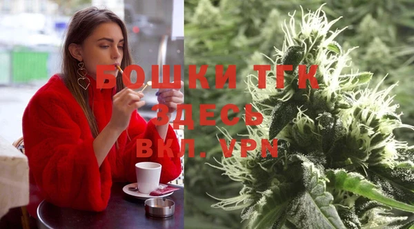 спиды Богородицк